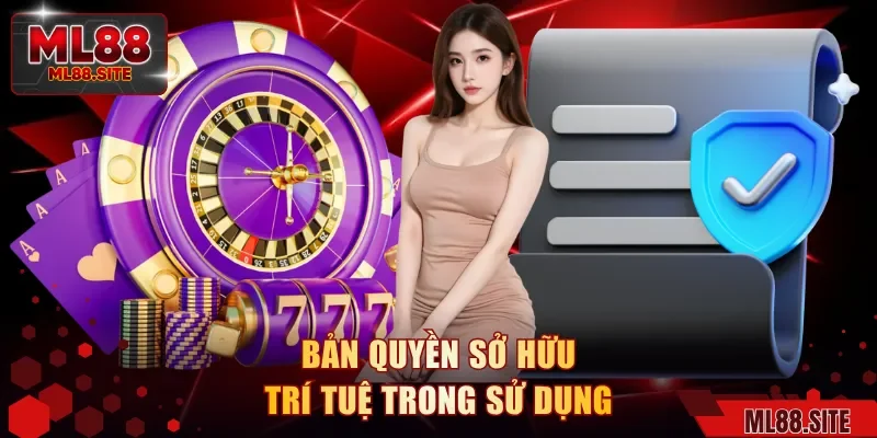 Bản quyền sở hữu trí tuệ trong sử dụng