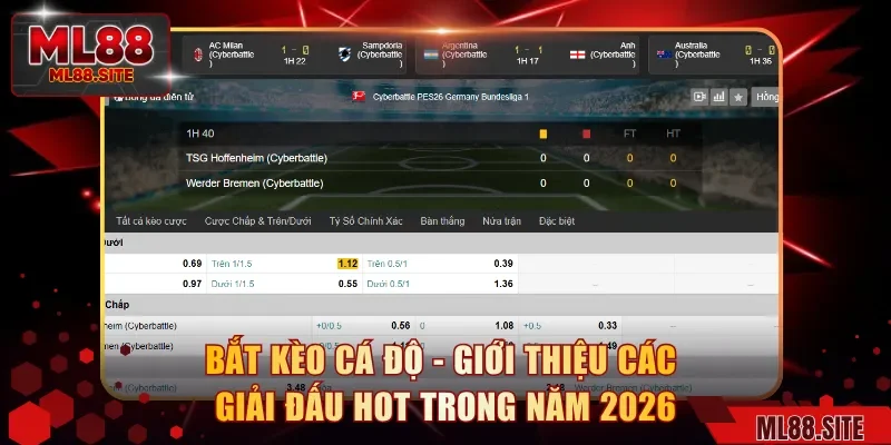 Bắt Kèo Cá Độ - Giới Thiệu Các Giải Đấu Hot Trong Năm 2026