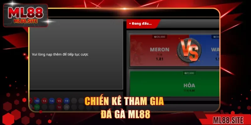 Chiến kê tham gia đá gà ML88